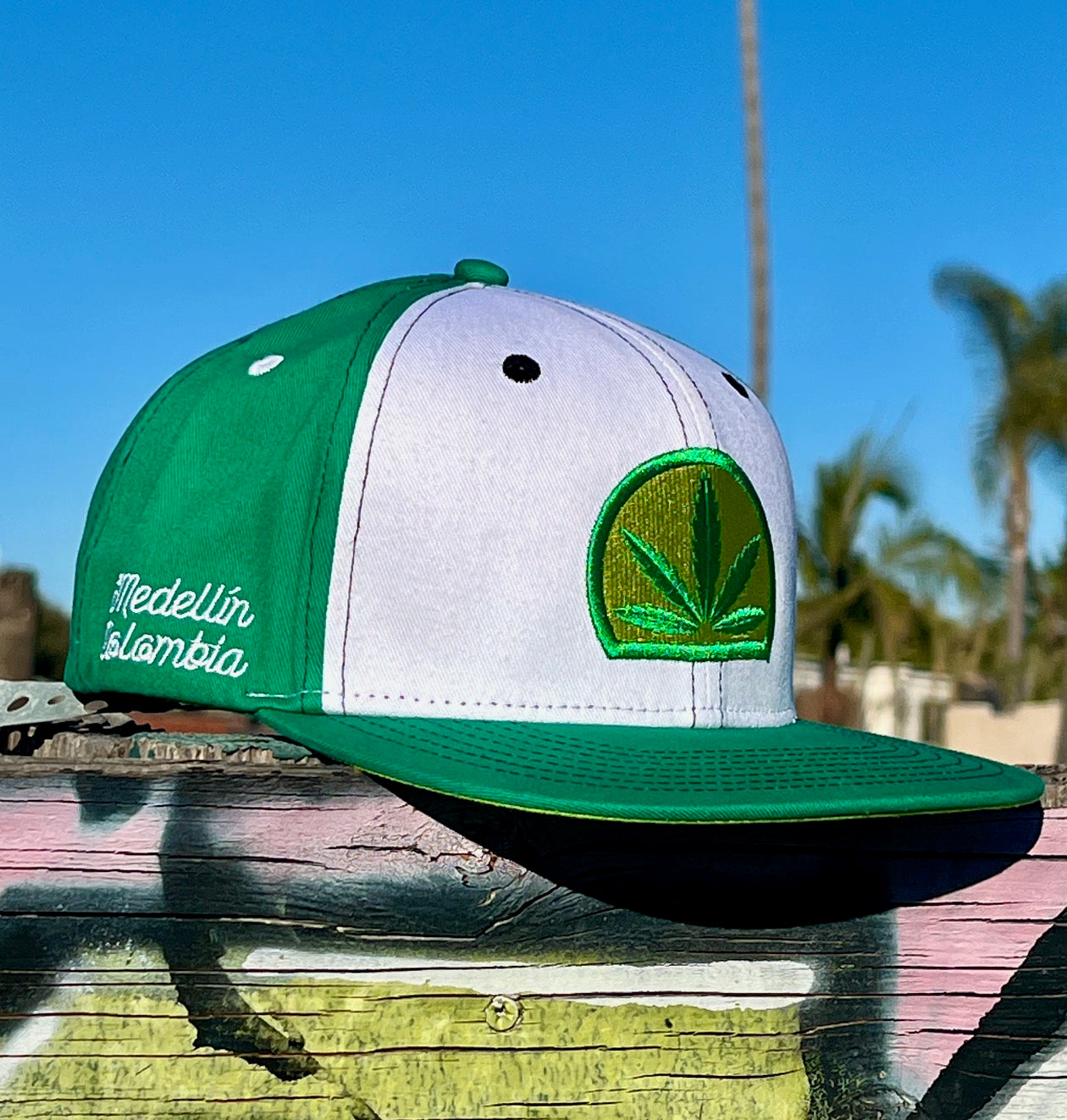 Hat : seedleSs. x Punto Rojo