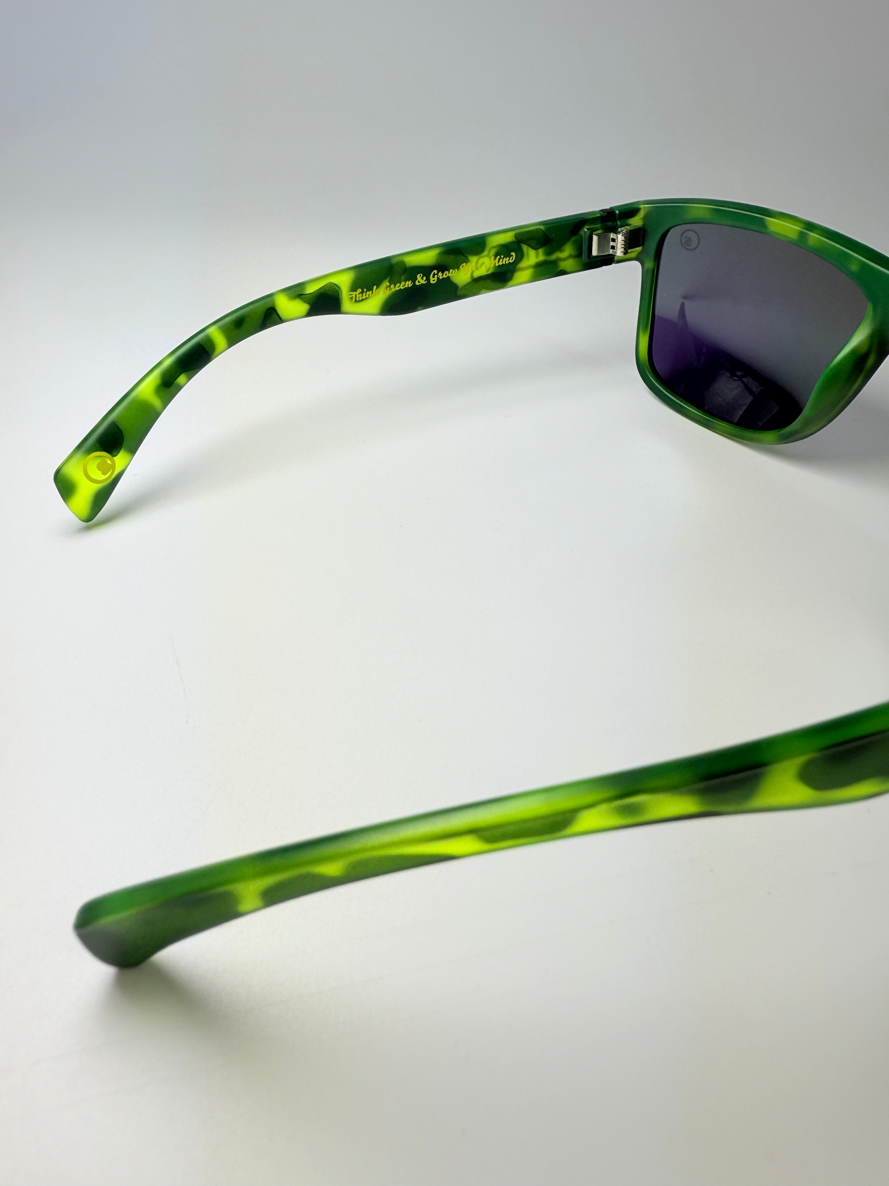 Shades : seedleSs. x Stay up : cruZers : slime tortoiSe