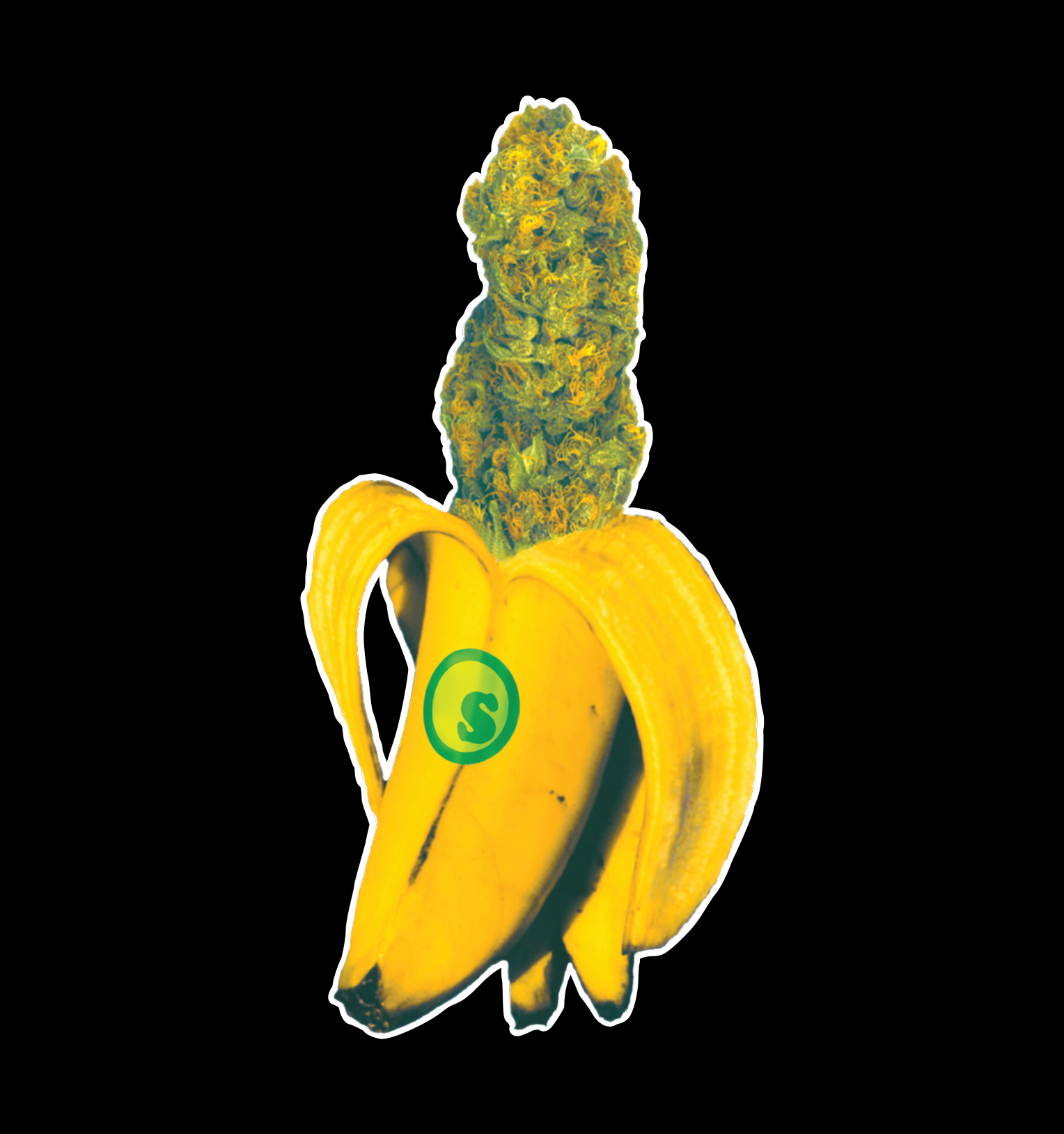 Womens Tee : Banana