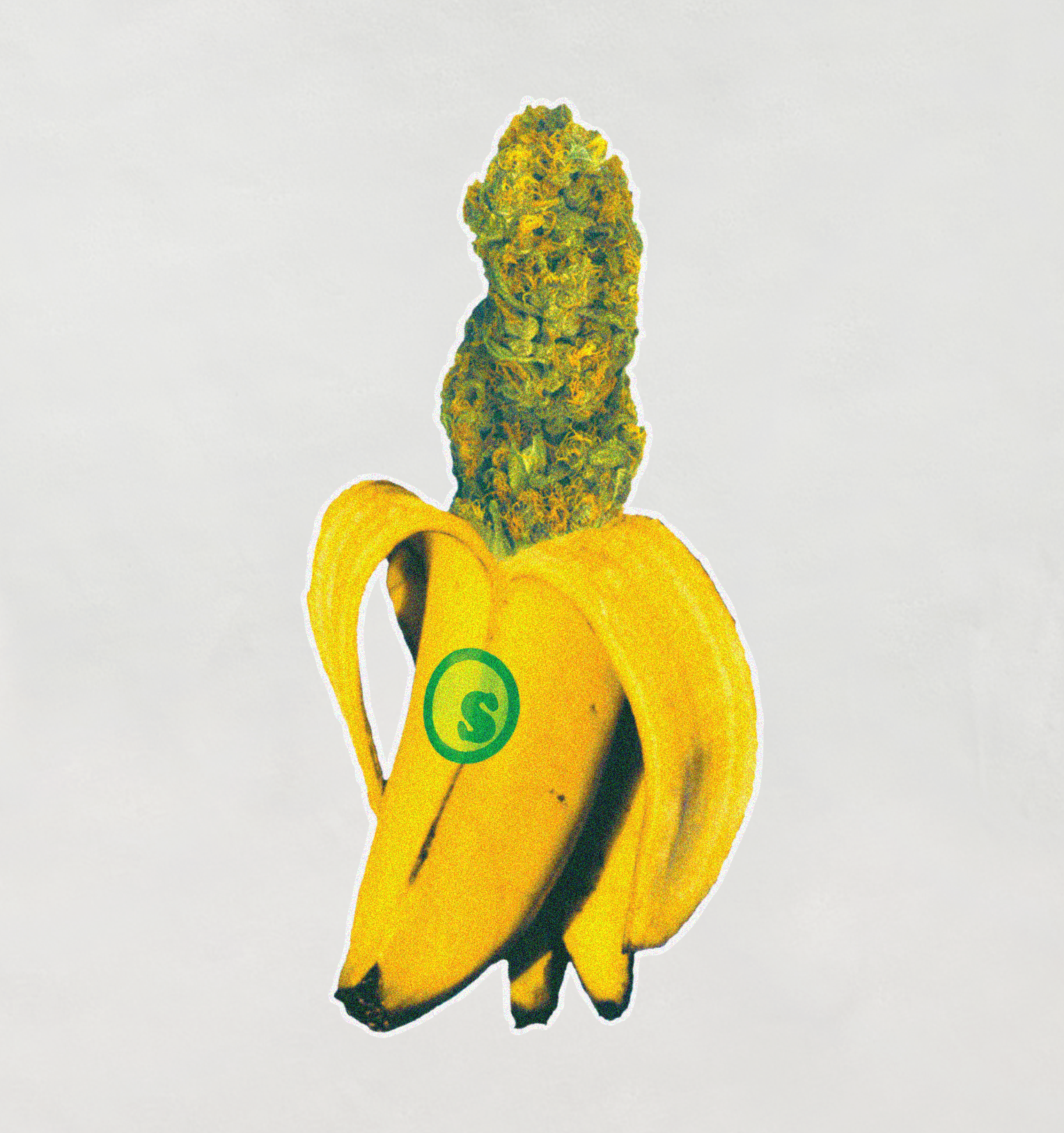 Womens Tee : Banana