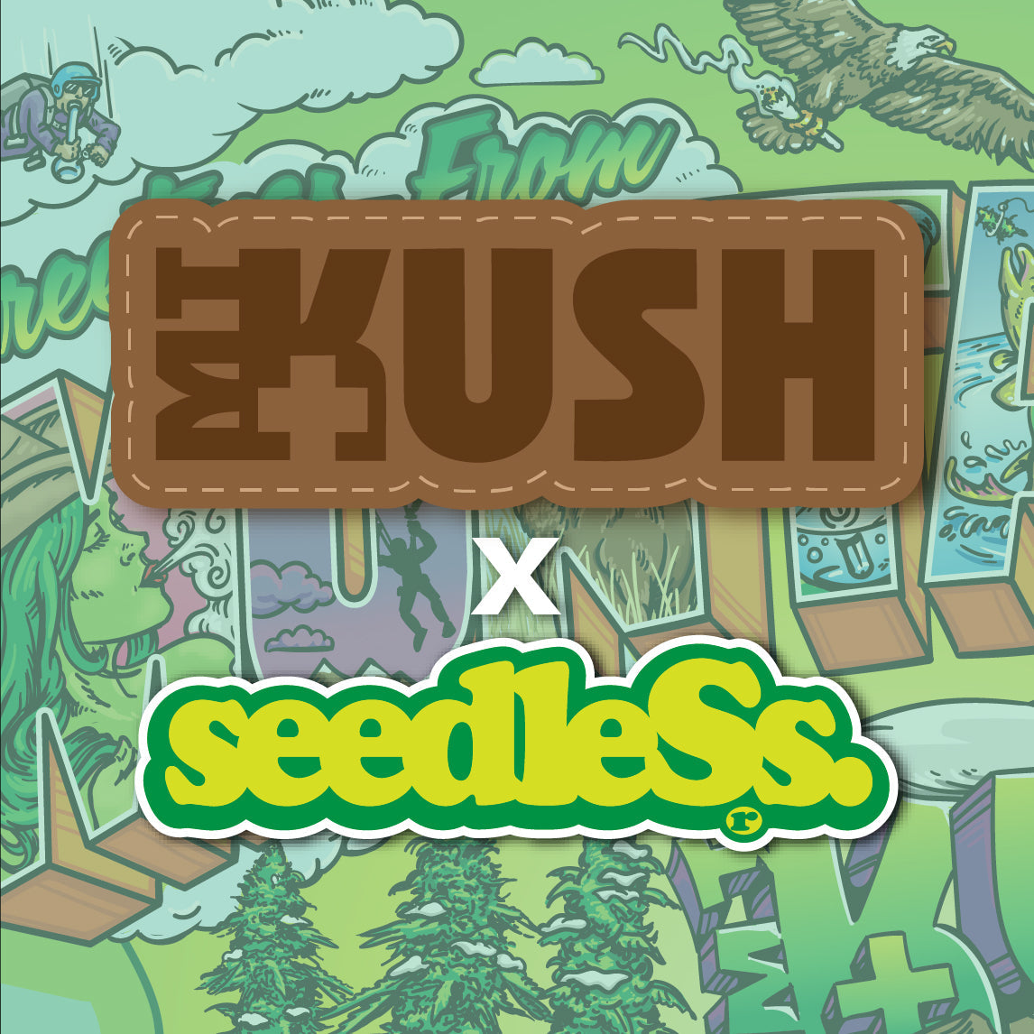 Montana Kush x seedleSs.