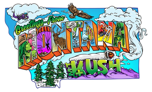 Montana Kush x seedleSs.