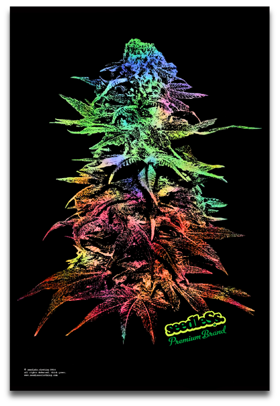 Art Print : Sherbert