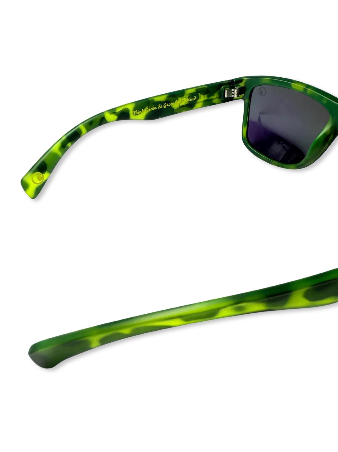 Shades : seedleSs. x Stay up : cruZers : slime tortoiSe